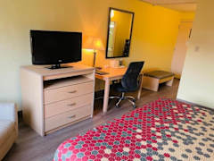 Zimmerbild 3