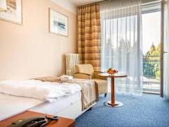 Zimmerbild 9