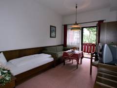 Zimmerbild 11
