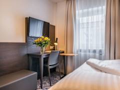 Zimmerbild 5