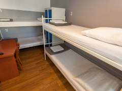 Zimmerbild 3