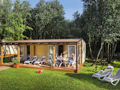 Zimmerbild 25