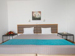 Zimmerbild 22