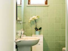 Zimmerbild 33