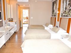 Zimmerbild 17