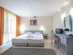 Zimmerbild 43