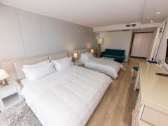 Zimmerbild 26