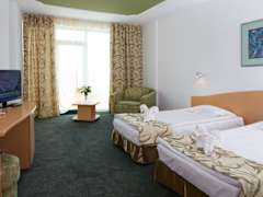 Zimmerbild 36