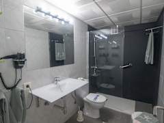 Zimmerbild 31