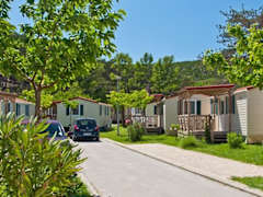 Zimmerbild 62