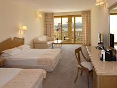 Zimmerbild 43