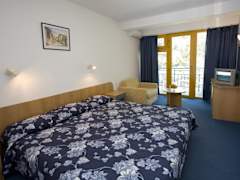 Zimmerbild 28