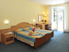 Zimmerbild 22