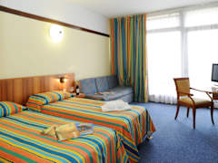 Zimmerbild 21