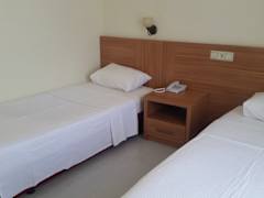 Zimmerbild 11