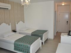 Zimmerbild 15