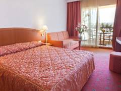 Zimmerbild 15