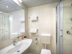 Zimmerbild 36