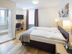 Zimmerbild 6
