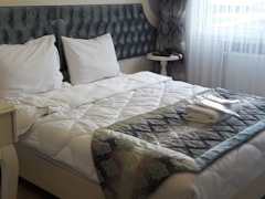 Zimmerbild 1