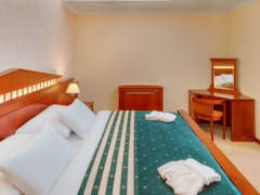 Zimmerbild 5
