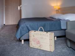 Zimmerbild 29