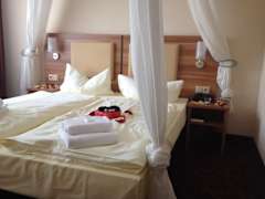 Zimmerbild 0