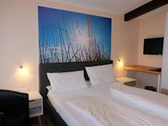 Zimmerbild 9