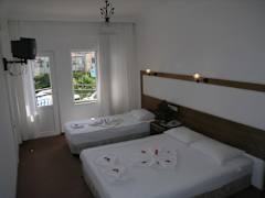 Zimmerbild 11