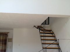 Zimmerbild 16
