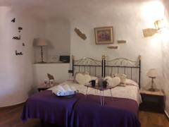 Zimmerbild 12