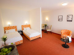 Zimmerbild 10