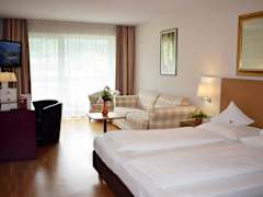 Zimmerbild 23