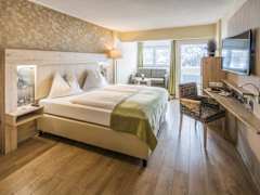 Zimmerbild 11