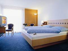 Zimmerbild 5