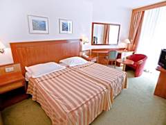 Zimmerbild 27