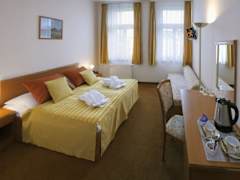 Zimmerbild 13