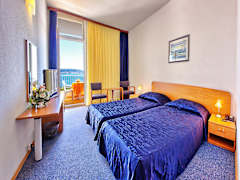 Zimmerbild 11