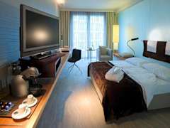 Zimmerbild 11