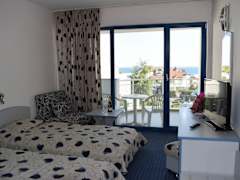 Zimmerbild 11