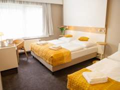 Zimmerbild 10