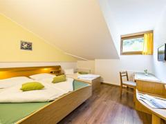 Zimmerbild 8