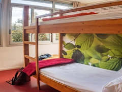 Zimmerbild 0