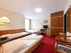 Zimmerbild 1