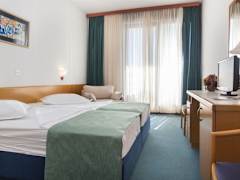 Zimmerbild 1