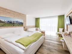 Zimmerbild 6