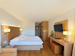 Zimmerbild 1