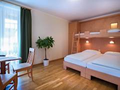 Zimmerbild 5