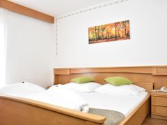 Zimmerbild 9