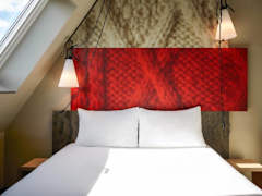 Zimmerbild 8